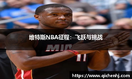维特斯NBA征程：飞跃与挑战